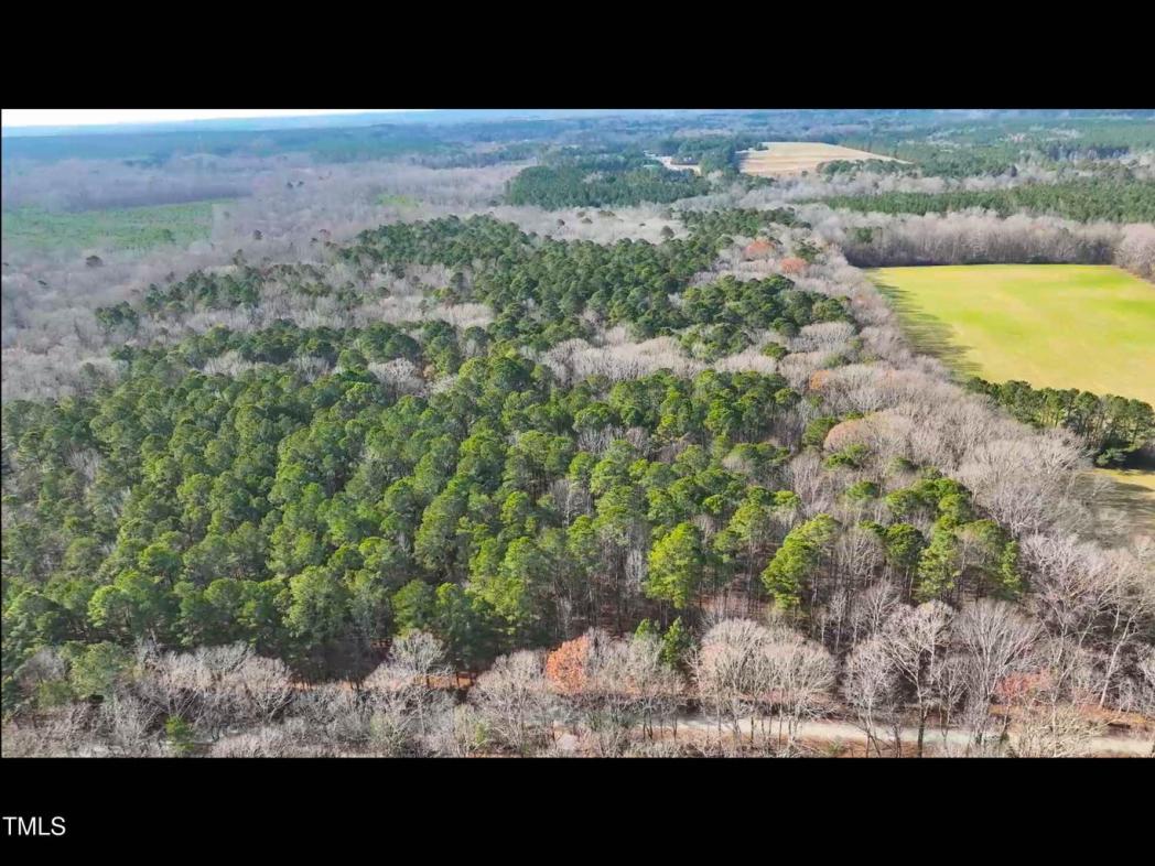 Lot 1 D Turkey Buzzard Lane, Pittsboro, NC