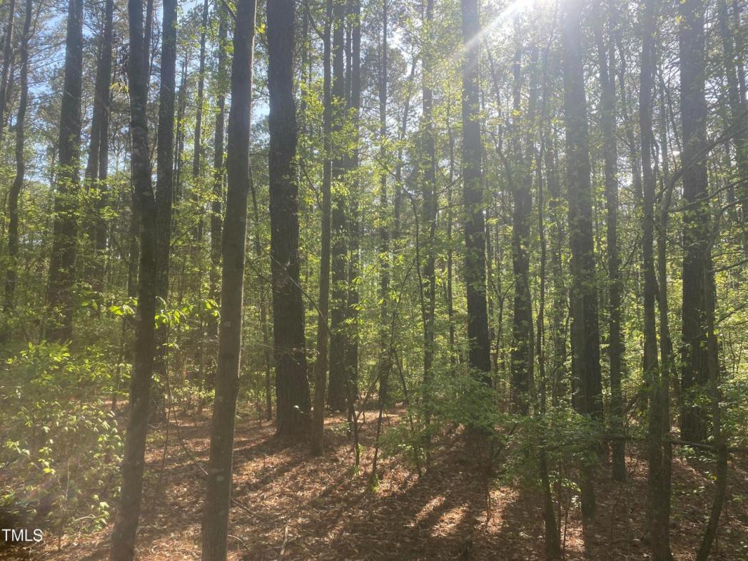 7405 Star Drive, Durham, NC