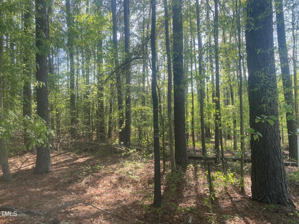 220 Curlew Drive, Chapel Hill, NC