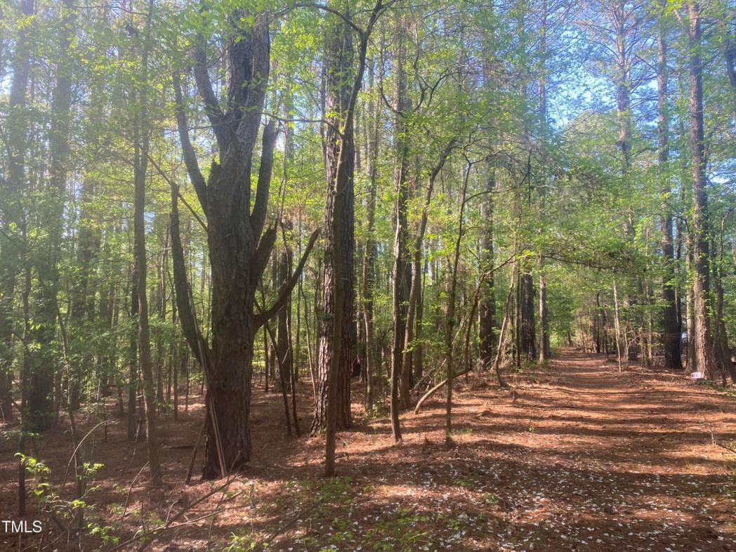 232 Curlew Drive, Chapel Hill, NC