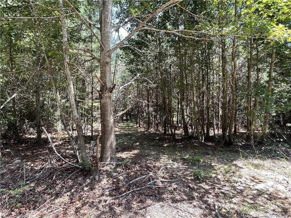 0 Henschel Lane, Broadway, NC