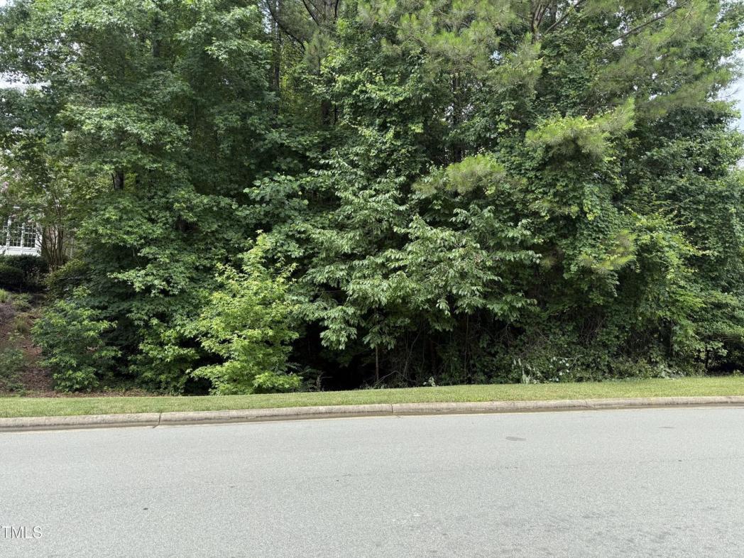533 Bear Tree Creek, Chapel Hill, NC