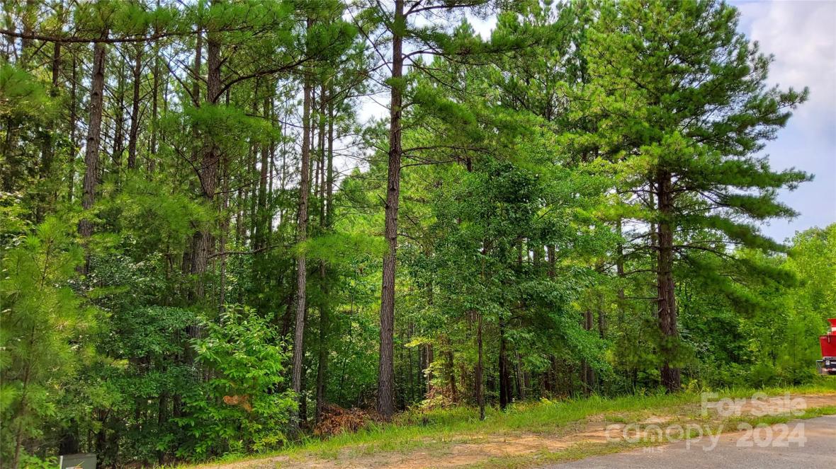 00 Sunset Drive, Mill Spring, NC