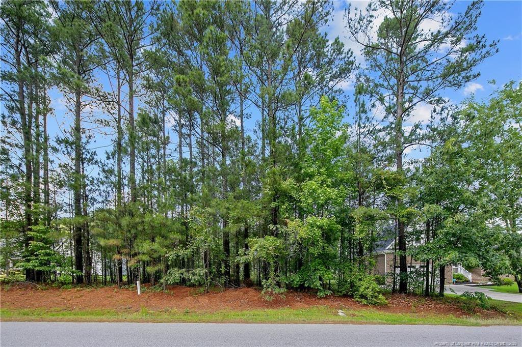 255 Barons Run (Lot 436) , Spring Lake, NC