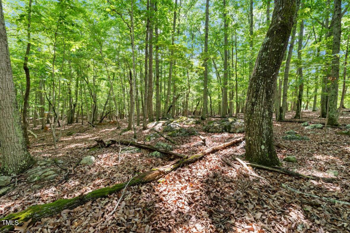 2853 Franklin Road, Hillsborough, NC