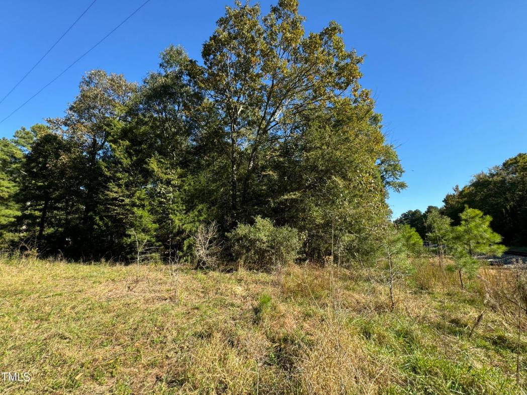 0 Old Us 421 South , Bear Creek, NC