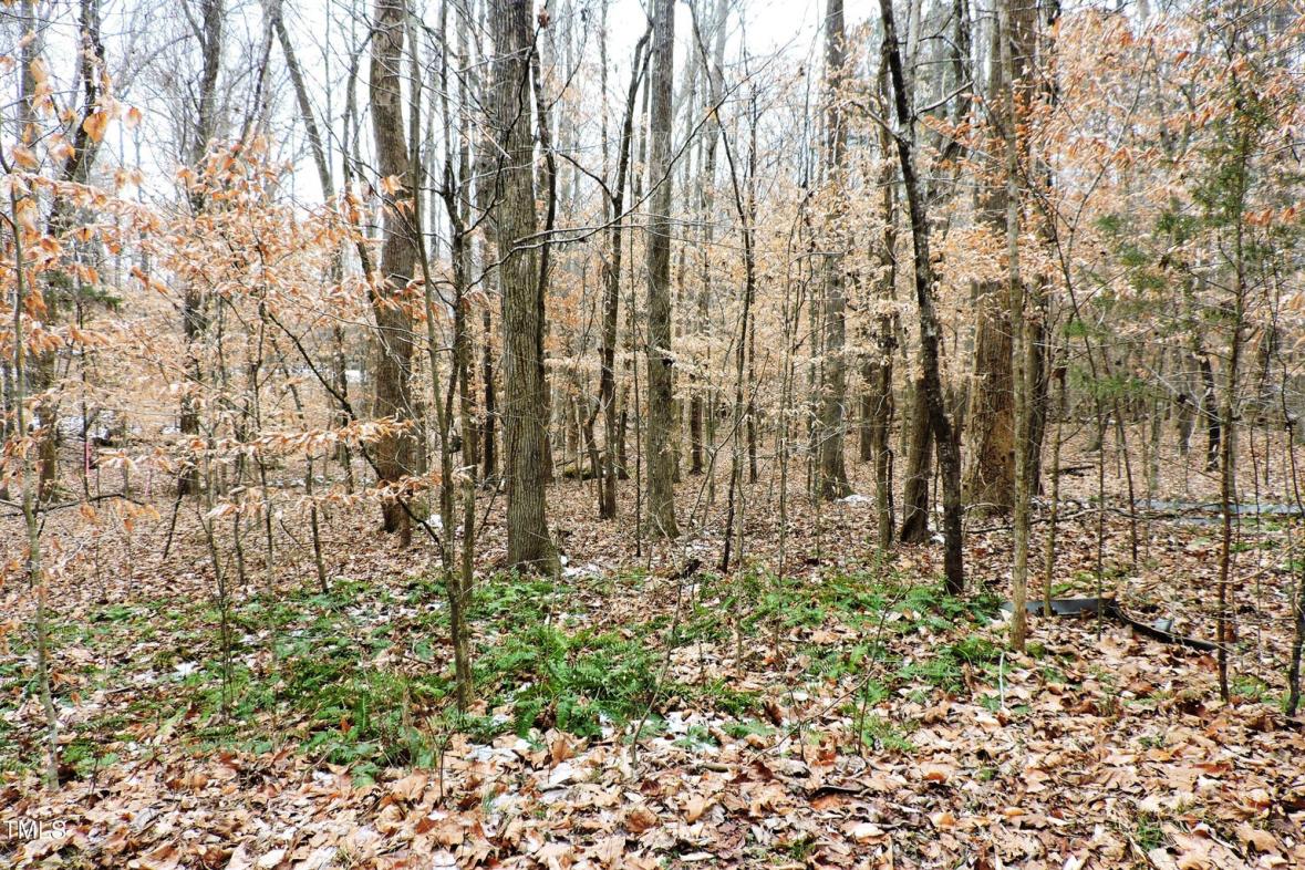 000 Canaan Circle, Hillsborough, NC