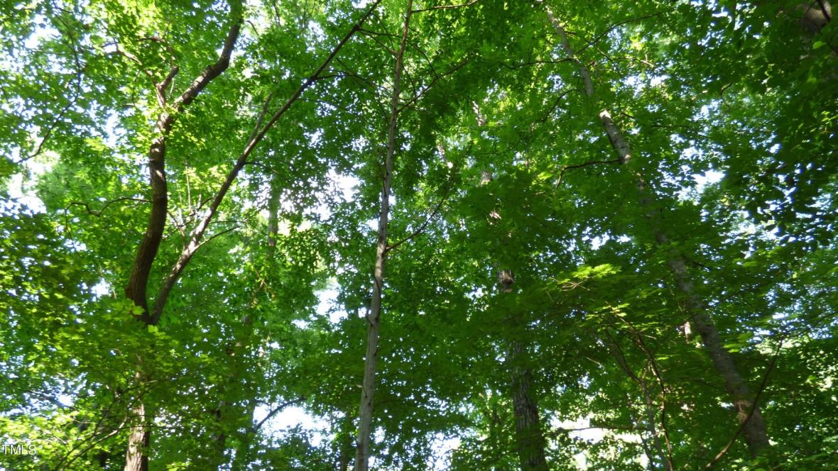 Lot 54 Forest Drive, Graham, NC