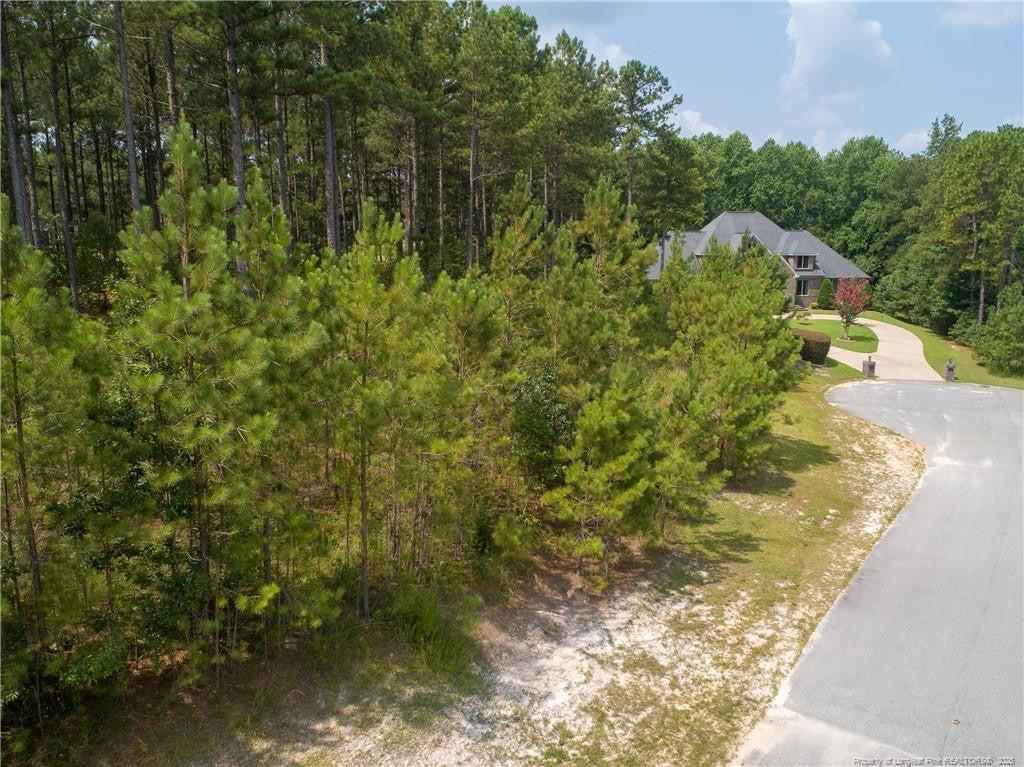 195 Broadlake (643) Lane, Spring Lake, NC