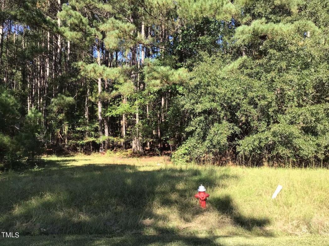 01 Crosslink Drive, Angier, NC