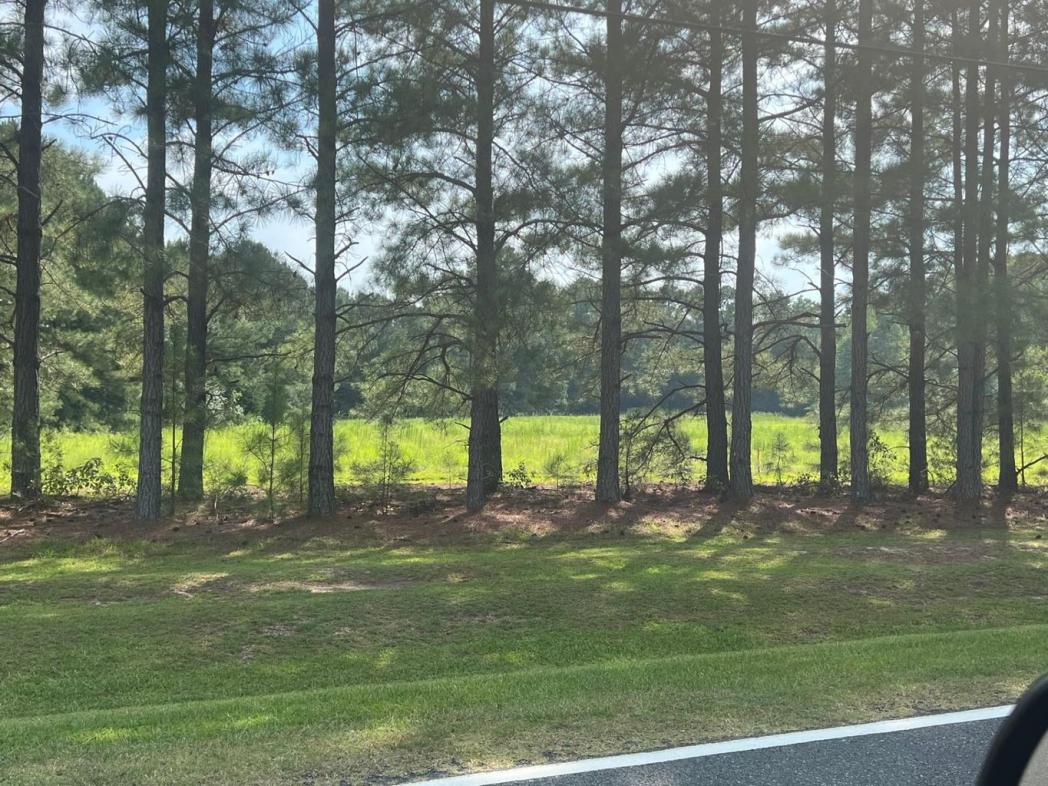 3466 Matthews Mill Pond Road, Angier, NC