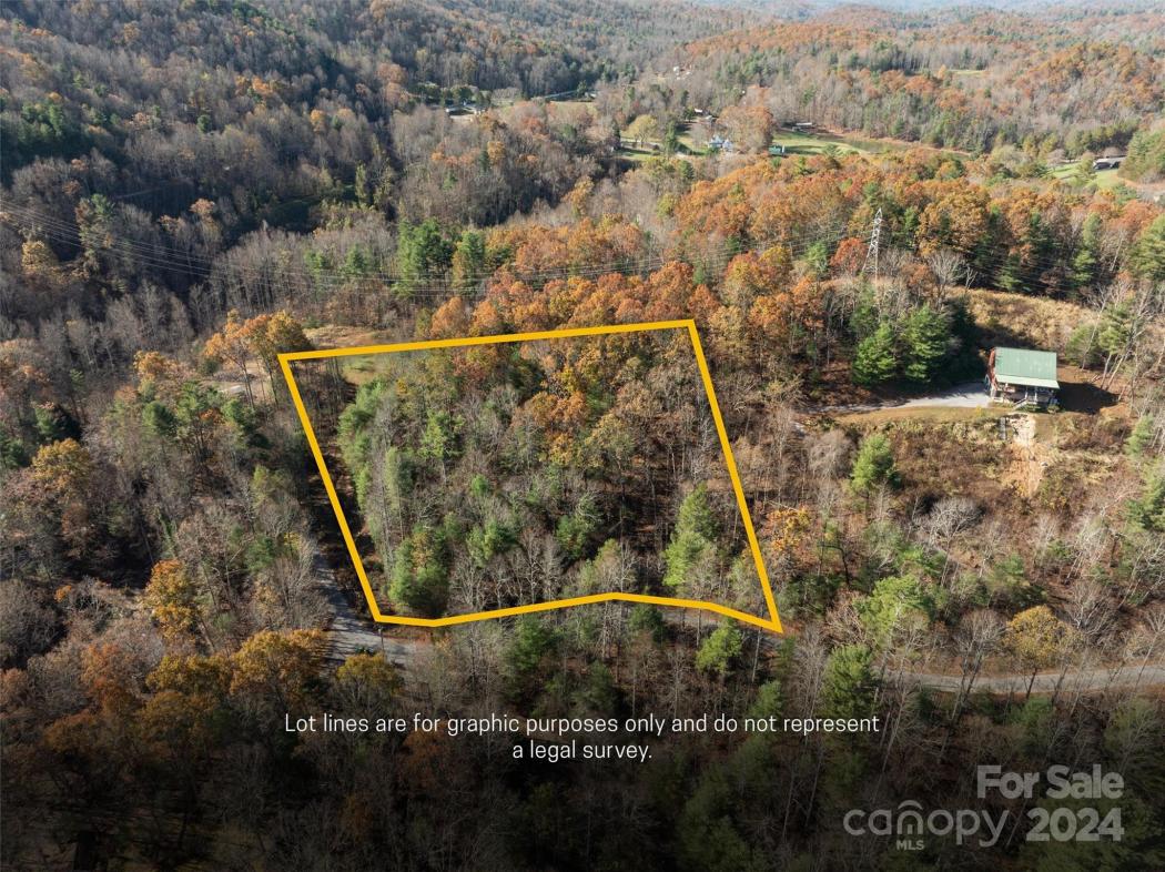 99999 Big Raven Lane, Saluda, NC