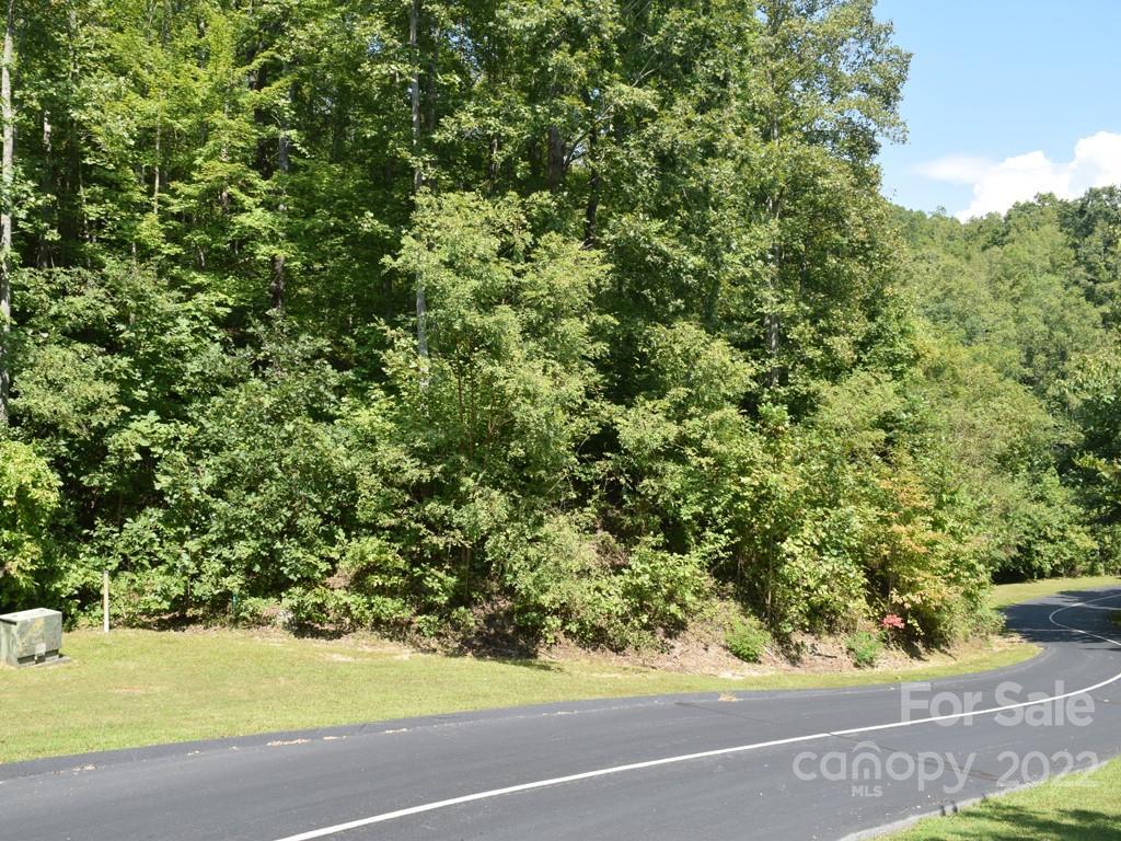 216 Mountain Crest Drive, Hendersonville, NC