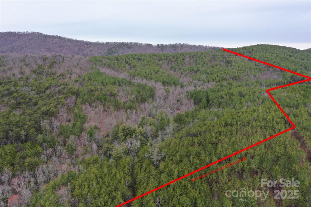0 Wards Gap Road, Casar, NC