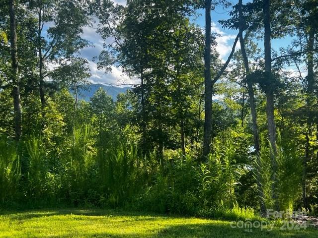 23 Mountain Parkway, Mill Spring, NC