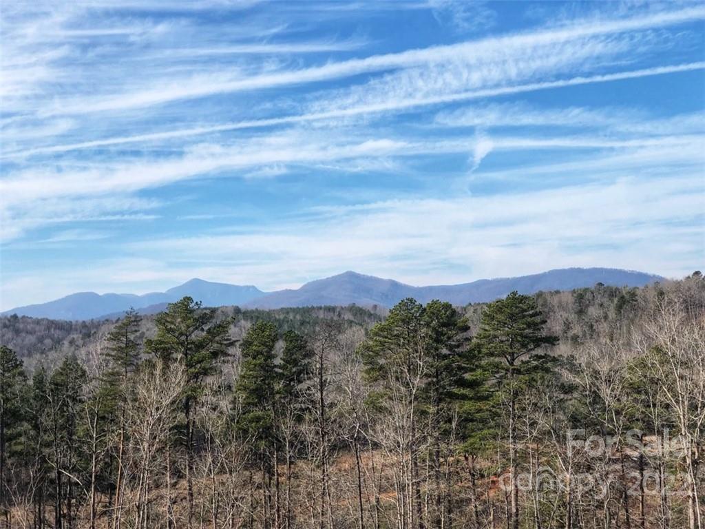 0 Hardin Store Road, Rutherfordton, NC
