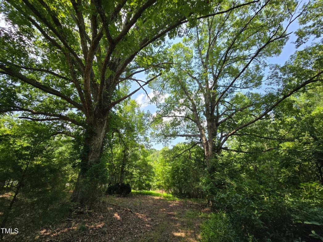 8564 Crutchfield Road Road, Snow Camp, NC