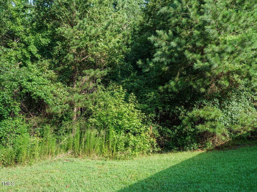 Tbd St Luke Church Road, Goldston, NC