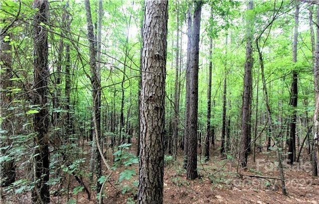 0 Chasewood Drive, Rutherfordton, NC