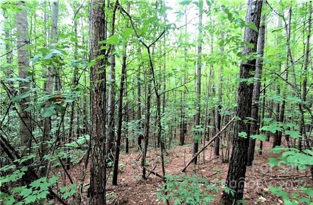 0 Chasewood Drive, Rutherfordton, NC