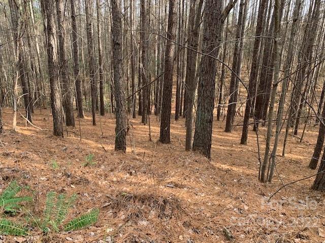 0 Chasewood Drive, Rutherfordton, NC