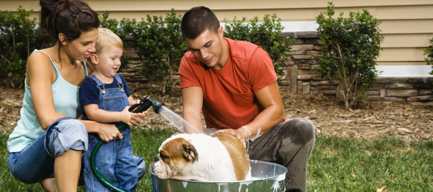 patio homes in greer sc