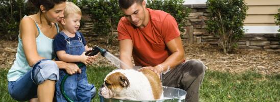 Family washing a dog